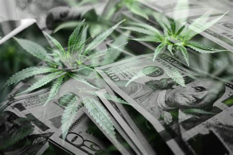 Senate committee advances marijuana banking bill
